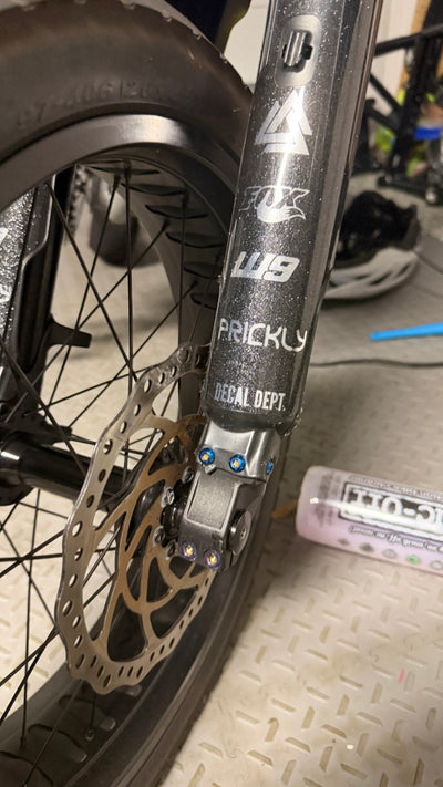 Titanium fork guard bolts