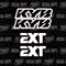 Fork Tube Decals
