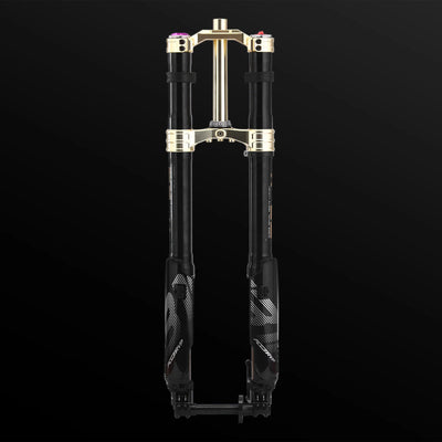 RFloXa Hawk31 Max (Gold)