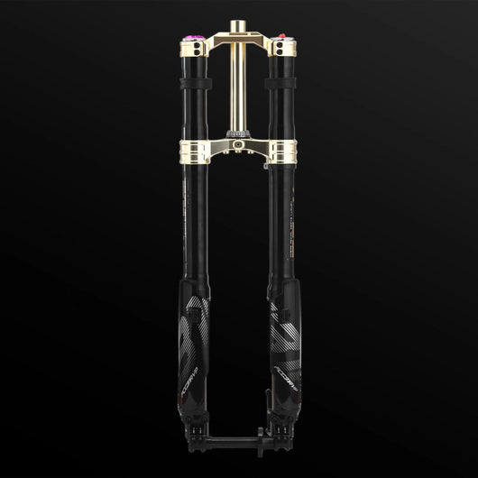 RFloXa Hawk31 Max (Gold)