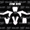 RTR Full Graphics Kit