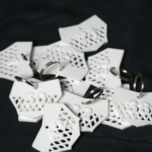 Mini Motocutz Number Plate Keychain with Personalized Number